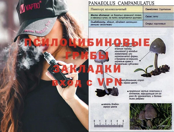 2c-b Баксан